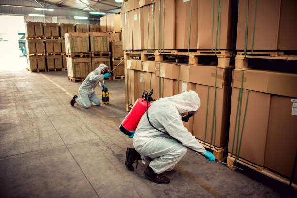 Best Pest Removal Services  in Stroudsburg, PA