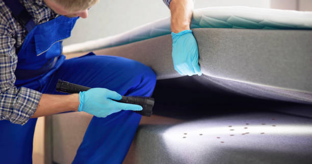 Best Bed Bug Extermination  in Stroudsburg, PA