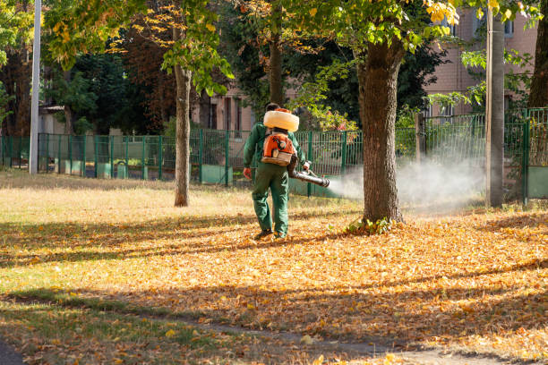 Best Mosquito Control Services  in Stroudsburg, PA
